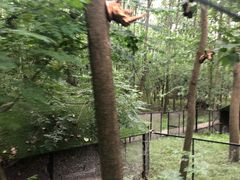 -合肥滨湖国家森林公园