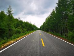 -粘豆包柴火铁锅炖