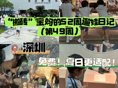 -深圳博物馆历史民俗馆