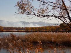 -野鸭湖国家湿地公园