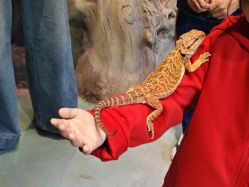 点击看大图 -酷嗒动物文化乐园(cutezoo西溪乐天城店)