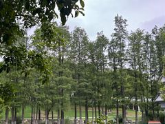 -昆山城市公园