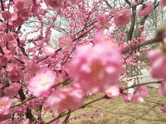 -廊坊市自然公园
