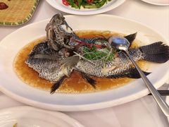 -骏莱海鲜鱼港(五角场店)