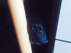 -星巴克(北辰西路店)