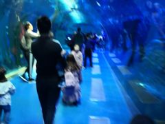 -哈尔滨波塞冬海底世界
