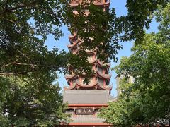 -塔子山公园