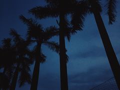-枸杞岛