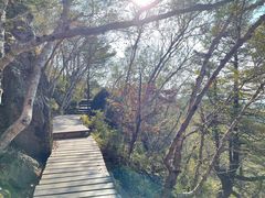 -白草畔自然风景区