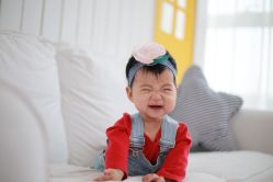 -苹果树儿童摄影工作室