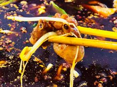 火锅兔-中和远东火锅兔(老店)