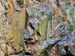 -上海佘山国家森林公园西佘山园