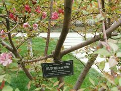 -荆川公园