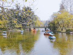 -上海共青森林公园