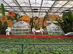 -兰陵国家农业公园