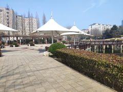 -丁家河公园