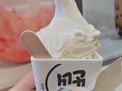 -野人牧坊Gelato(天津南开大悦城店)