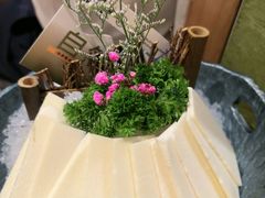-季季山·云南野生菌火锅(上海首店)