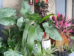 -野菌皇海景野生菌火锅(滨海大道店)