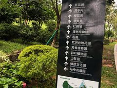 -东莞植物园