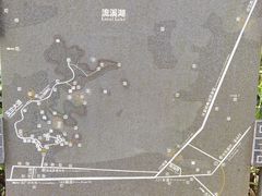 -广州市流溪河国家森林公园
