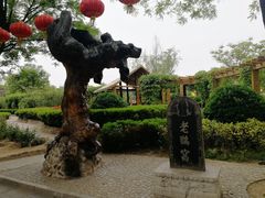 -大槐树寻根祭祖园