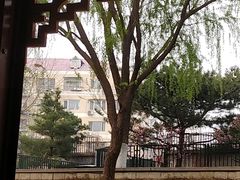 -皇家御河游(紫御湾码头)