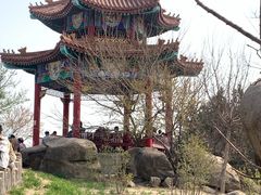 -白水寺森林公园