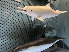 -浙江自然博物院(杭州馆)