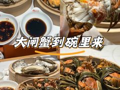 -杨氏青龙虾·羊蝎子(托乐嘉店)