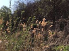 -碓臼峪自然风景区