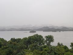 -浔味·山屿湖·正宗淳牌全鱼宴老字号