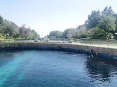 -天津湾西餐厅(三亚海棠湾洲际度假酒店)