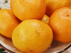 -金粤九号(李公堤店)