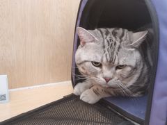 -美联众合动物医院·24h京西诊疗中心