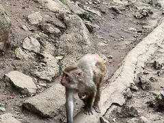 -黔灵山公园