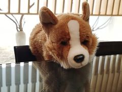 -西村日本料理(香格里拉饭店)