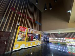 -华谊兄弟影院(IMAX洋桥店)
