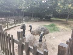 -南昌动物园