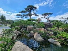 -罗红摄影艺术馆