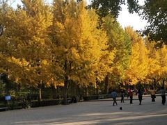 -玲珑塔公园
