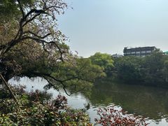 -双生肠粉(牌坊街总店)