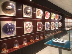 -青岛贝壳博物馆