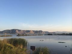 iphone_upload_pic-漩门湾国家湿地公园