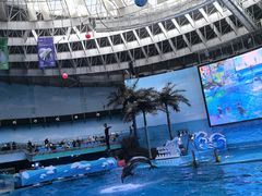 -海合安成都极地海洋公园