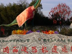 -中国西峡恐龙遗迹园