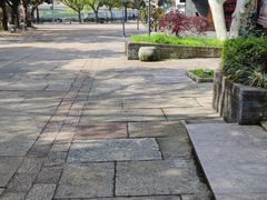 -溪口-滕头旅游景区