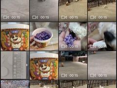 -宠物之家Pets Home 宠物寄养酒店