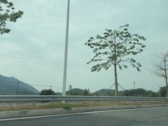 -赤坎·广东华侨国际旅游度假区