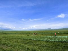 -新疆那拉提国家旅游度假区